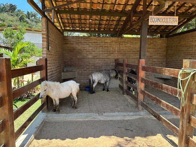 Refúgio cheio de estilo para dias de sossego