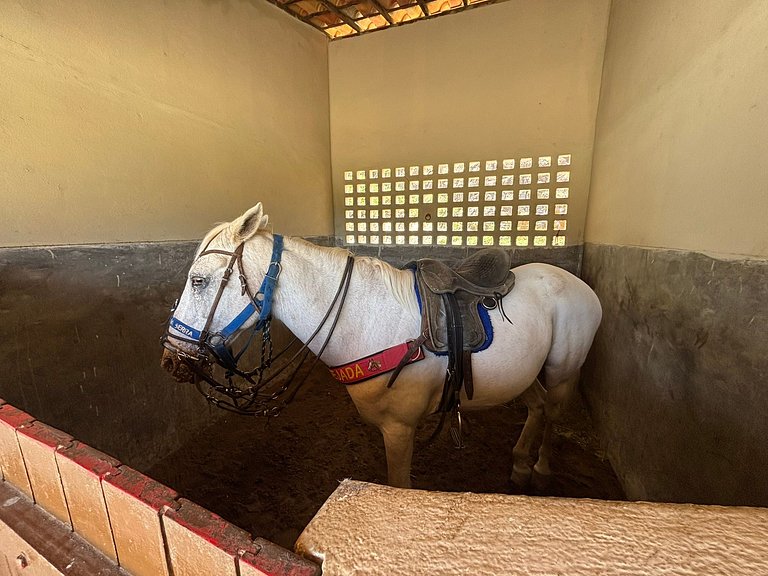 Refúgio charmoso cercado por verde