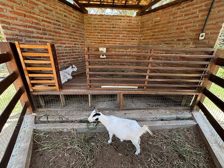 Refúgio charmoso cercado por verde