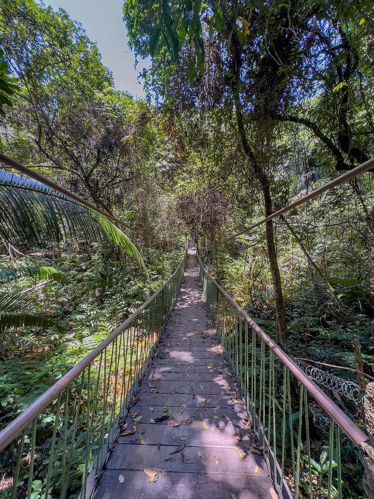 Refúgio Perfeito em Meio à Natureza